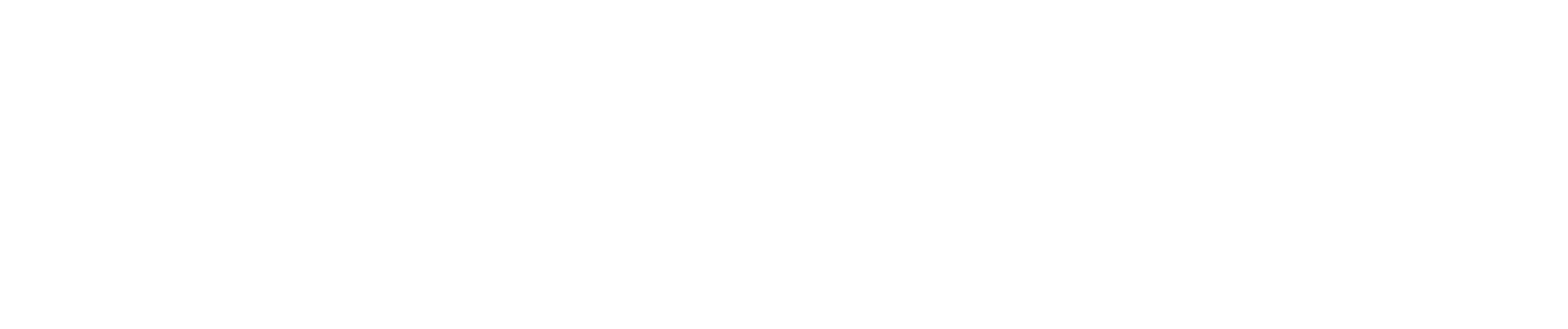 Mizo Capital Limited